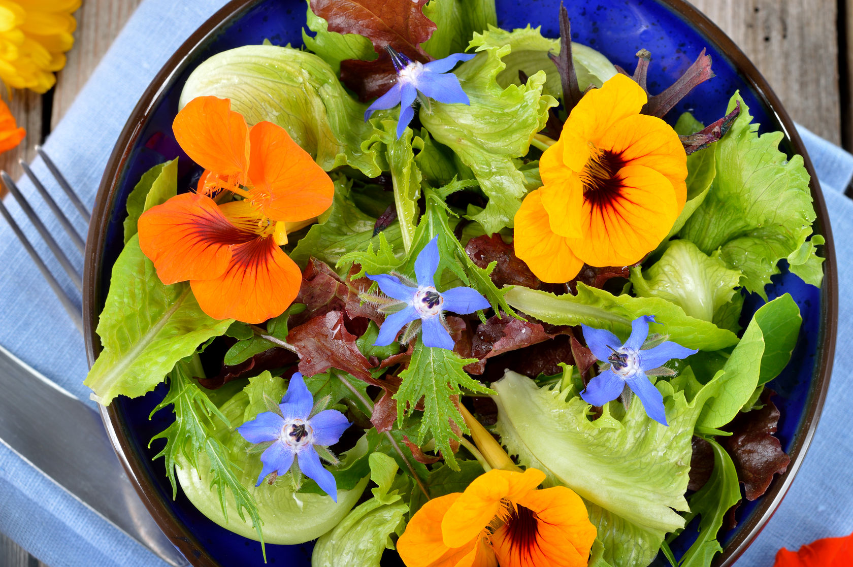 How To Use Beautiful Edible Flowers From Your Garden